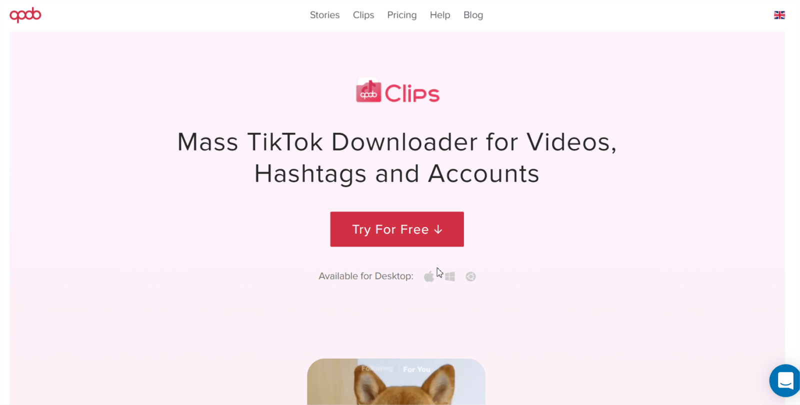 16 sites grátis para descarregar vídeos do TikTok 1